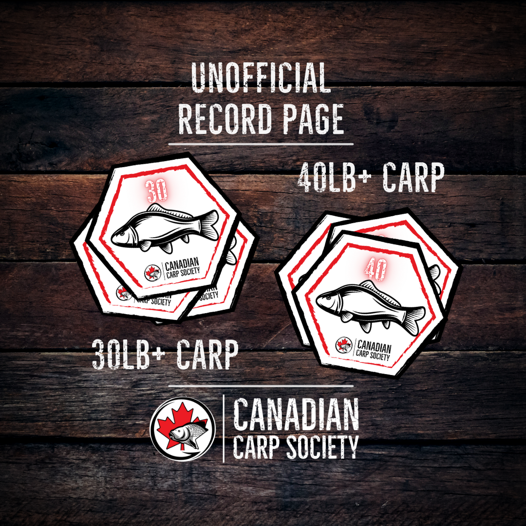 Unofficial Record Carp – Non Members – Canadian Carp Society