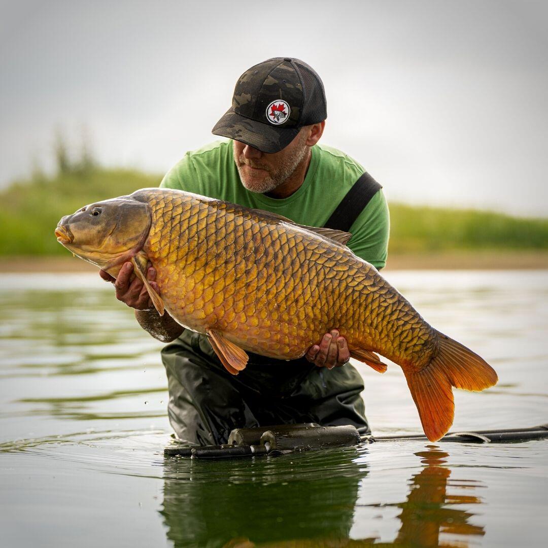 A.Russell - 39 lb Common