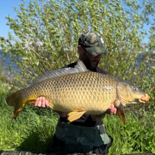 Sean Martin - 31lb 0oz